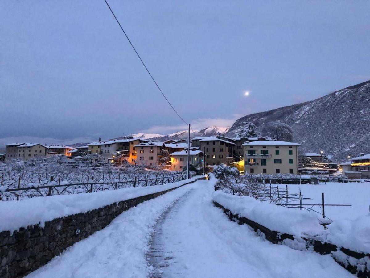 Hotel Garni Delle Rose 切尼加 外观 照片